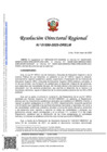 Vista preliminar de documento RDR 1590-2025-DRELM