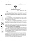 Vista preliminar de documento R.D. 924-2024