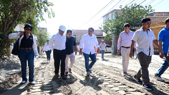 Inspección de alcalde