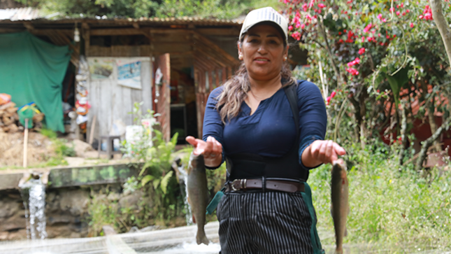 Huancavelica: Familias de Churcampa y Tayacaja inician producción de trucha como alternativa de desarrollo