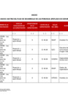 Vista preliminar de documento ANEXO_MATRIZ PDP 2025
