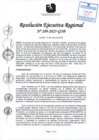 Vista preliminar de documento RER 289-2025-GOB