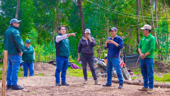 Evaluación de avance de proyecto de forestación