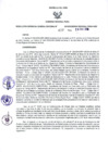 Vista preliminar de documento -1384900300103396462