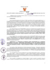 Vista preliminar de documento -4035555519356745477