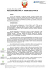 Vista preliminar de documento RD Nº D000046-2025-DE