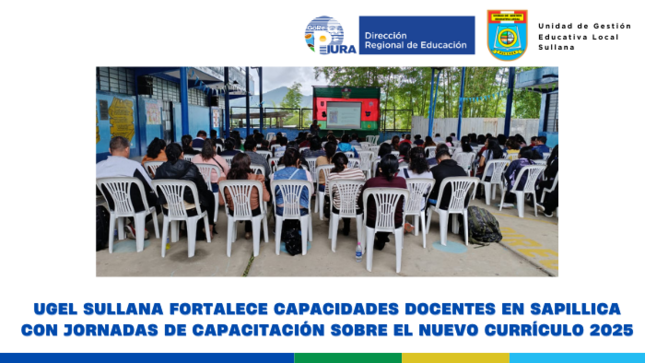 Sapillica Capacitación