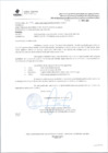 Vista preliminar de documento oficio multiple 299