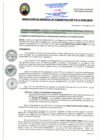 Vista preliminar de documento RGA212-2025