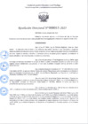 Vista preliminar de documento R.D 015-2025