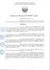 Vista preliminar de documento R.D 017-2025