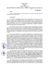 Vista preliminar de documento -4278769422499468925