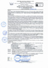 Vista preliminar de documento RD Nº 114 - 2025