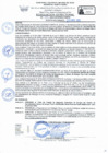 Vista preliminar de documento RD Nº 115 - 2025