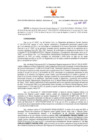 Vista preliminar de documento -3554891423264565360