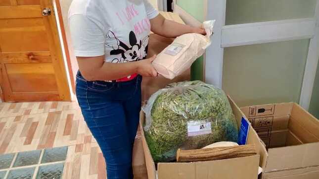 Gerfor realiza inspección ocular y control de producto forestal no maderable en almacén de biomasa.