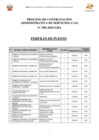 Vista preliminar de documento PERFILES DE PUESTO-CAS N°01-2025