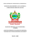 Vista preliminar de documento PORTADA Y BASES DE LA CONVOCATORIA CAS 003-2025-MDLL