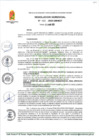 Vista preliminar de documento RG 130-2025-GM-MDT