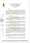 Vista preliminar de documento RG 131-2025-GM-MDT