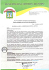 Vista preliminar de documento RA N°035-2025-MDP-A.