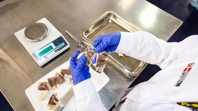 Programa de Alimentación Escolar resolverá contratos de 11 proveedores por incumplimiento de estándares de calidad e inocuidad alimentaria
