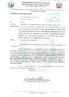 Vista preliminar de documento 17-INFORME DE COMITE PRESENTADO BASES