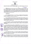 Vista preliminar de documento 925142302181198391