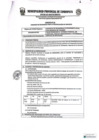 Vista preliminar de documento TDR 1706