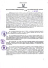 Vista preliminar de documento -1209287545510322143