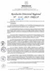 Vista preliminar de documento RDR N° 000969-2025-DRELP