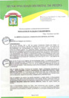 Vista preliminar de documento RA N°023-2025-MDP-A.