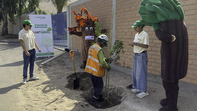 Municipalidad de La Molina sembró 5 mil nuevos árboles en esta gestión