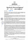 Vista preliminar de documento RDR N° 000970-2025-DRELP