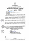 Vista preliminar de documento RDR N° 000971-2025-DRELP