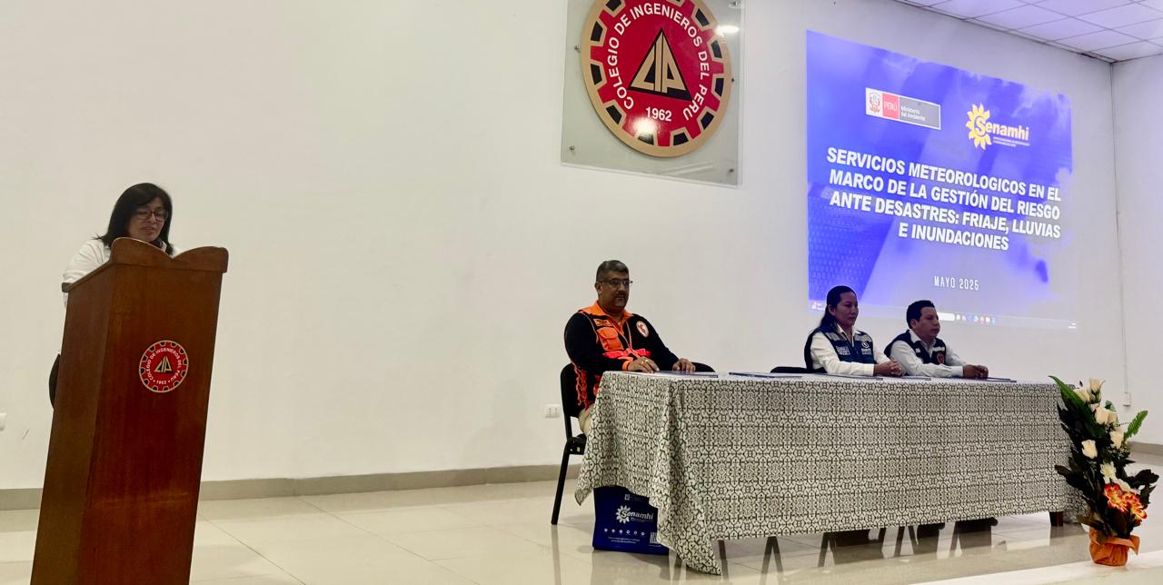 Presidente ejecutiva
