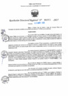 Vista preliminar de documento RDR N° 000972-2025-DRELP
