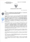 Vista preliminar de documento RD-2221-2025-DSAIA-DIRIS-LE-MINSA