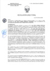 Vista preliminar de documento RD-2223-2025-DSAIA-DIRIS-LE-MINSA