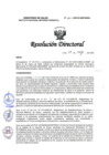 Vista preliminar de documento RD N° 162-2025-DG-INMP/MINSA