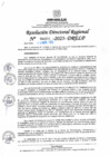 Vista preliminar de documento RDR N° 000974-2025-DRELP