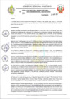 Vista preliminar de documento RESOLUCION N°555