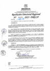 Vista preliminar de documento RDR N° 000975-2025-DRELP