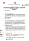 Vista preliminar de documento TDR Especialista en desarrollo y construcción de funcionalidades en JAVA