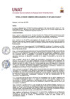 Vista preliminar de documento Resolución de Comisión Organizadora N° 207-2025-CO-UNAT