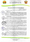Vista preliminar de documento ORDENANZA MUNICIPAL N° 004-2025-MDK