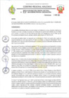 Vista preliminar de documento RESOLUCION N°510