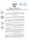 Vista preliminar de documento RP 133-2025