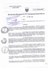Vista preliminar de documento RD 0069