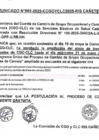 Vista preliminar de documento Comunicado 2